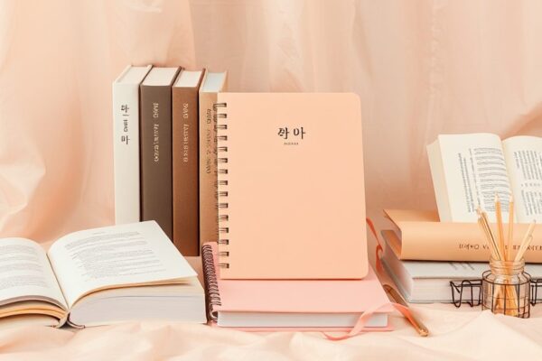 Korean Language Slang for Social Media 2026