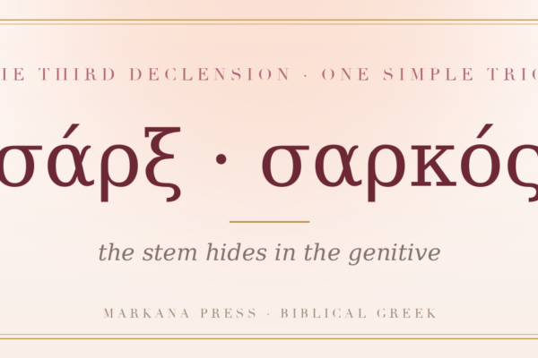 Greek third declension noun sarx, genitive sarkos