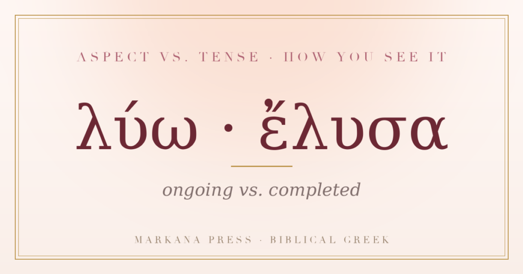 Greek verbal aspect, present luo versus aorist elusa