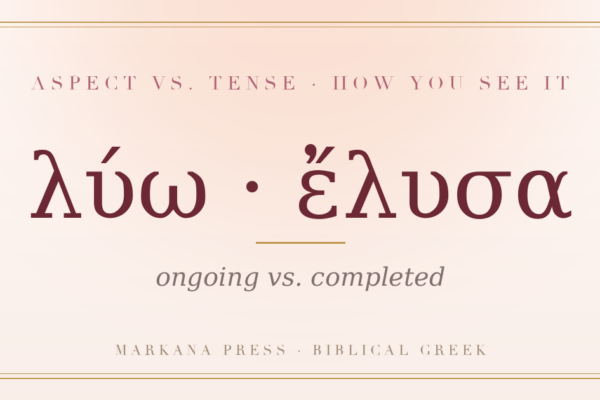 Greek verbal aspect, present luo versus aorist elusa