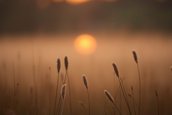 Prayer for Overwhelm: Finding Peace in Chaos